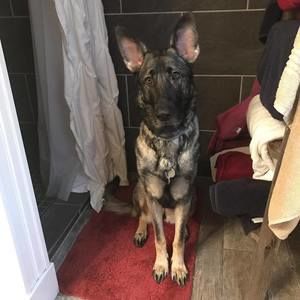 Meet your Posher, Violetta